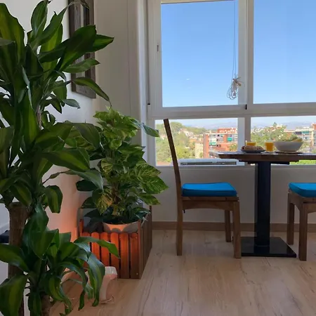 Lägenhet Oasis