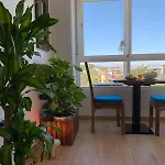 شقة Oasis