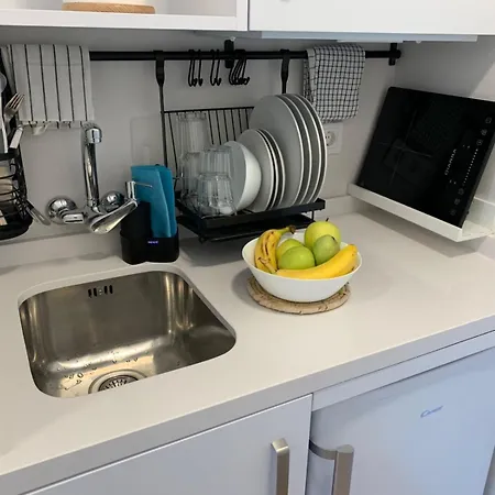 Oasis * トレモリノス